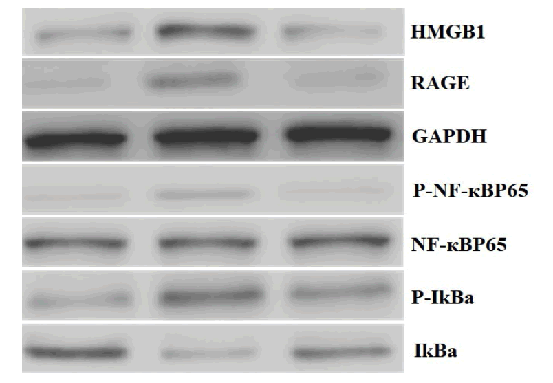 jmso-10-5-Effect