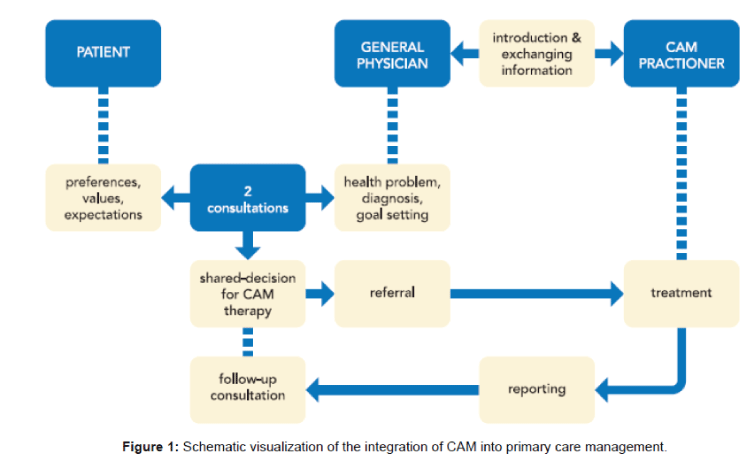 primary-health-care-Schematic-visualization